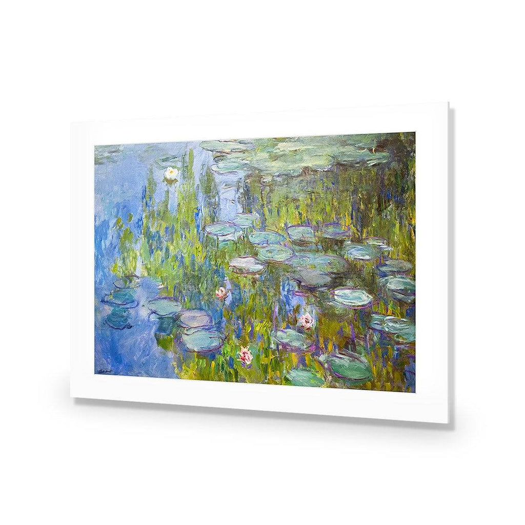Sea Roses - Monet Acrylic Print Art