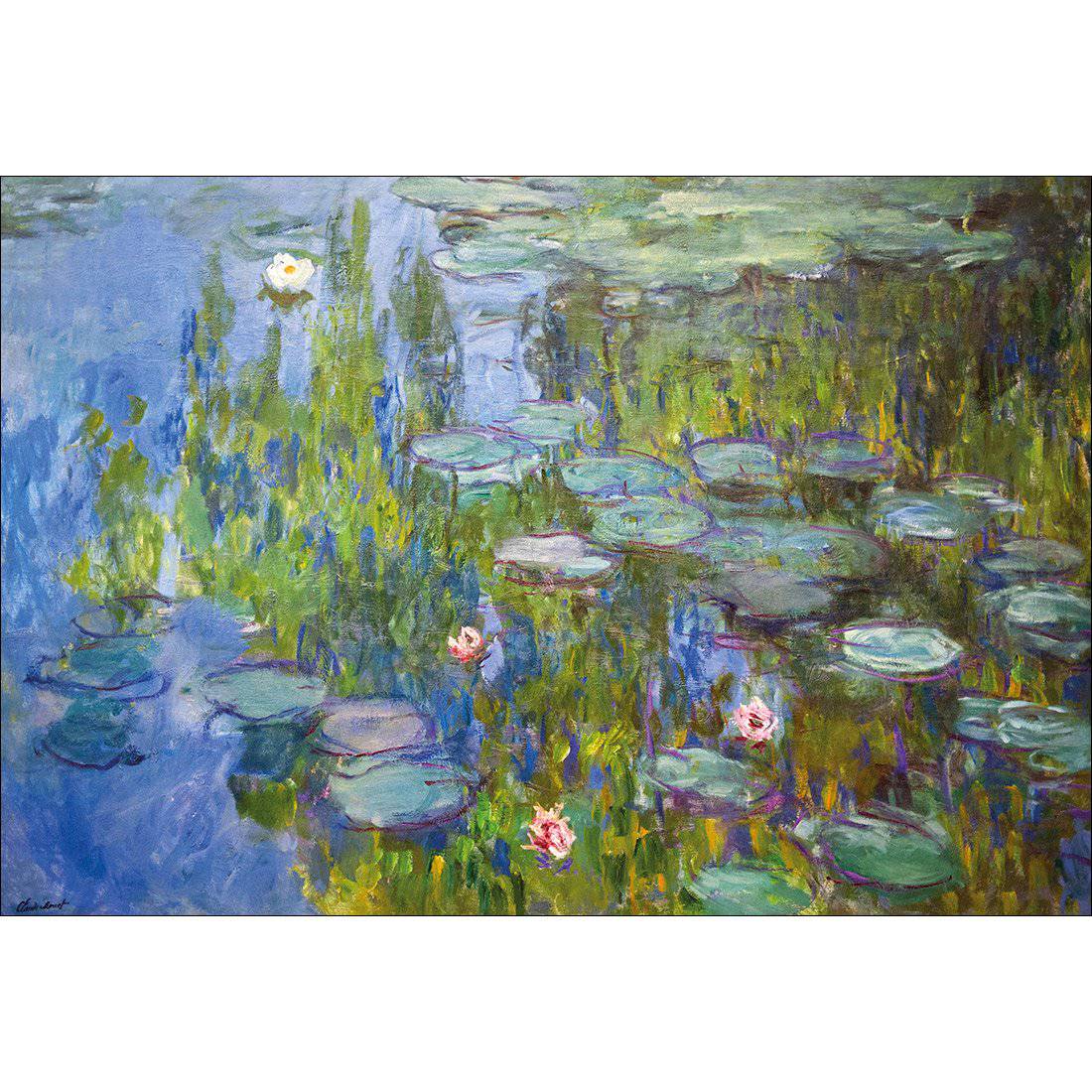 Sea Roses - Monet Acrylic Print Art
