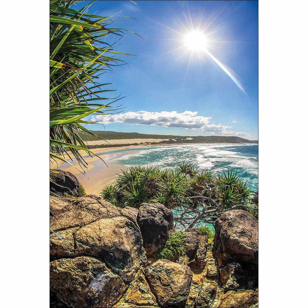 Pandanus On Fraser Canvas Art