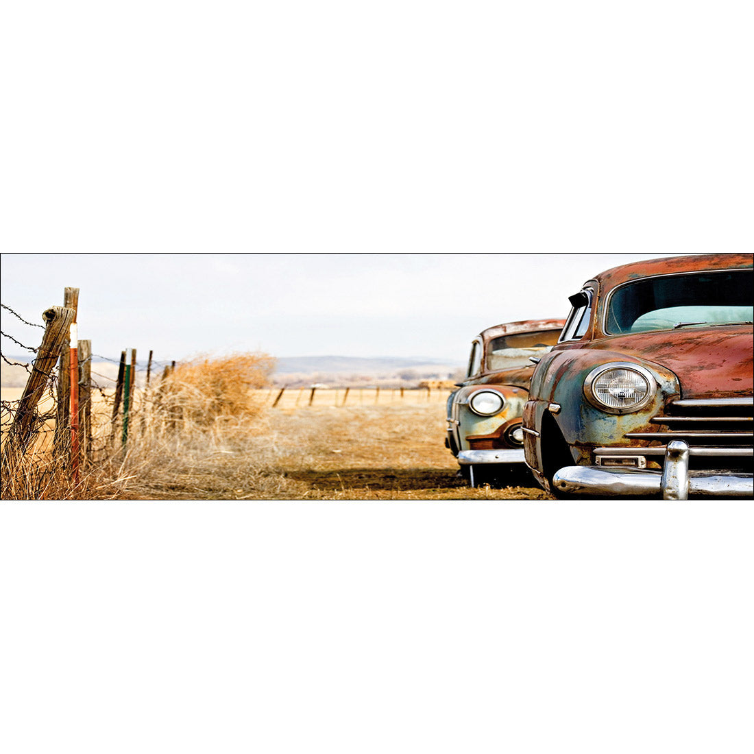 Rusty Cars, Long Acrylic Print Art