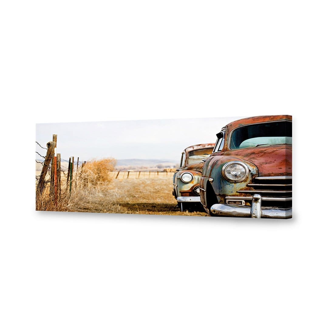 Rusty Cars Canvas Art