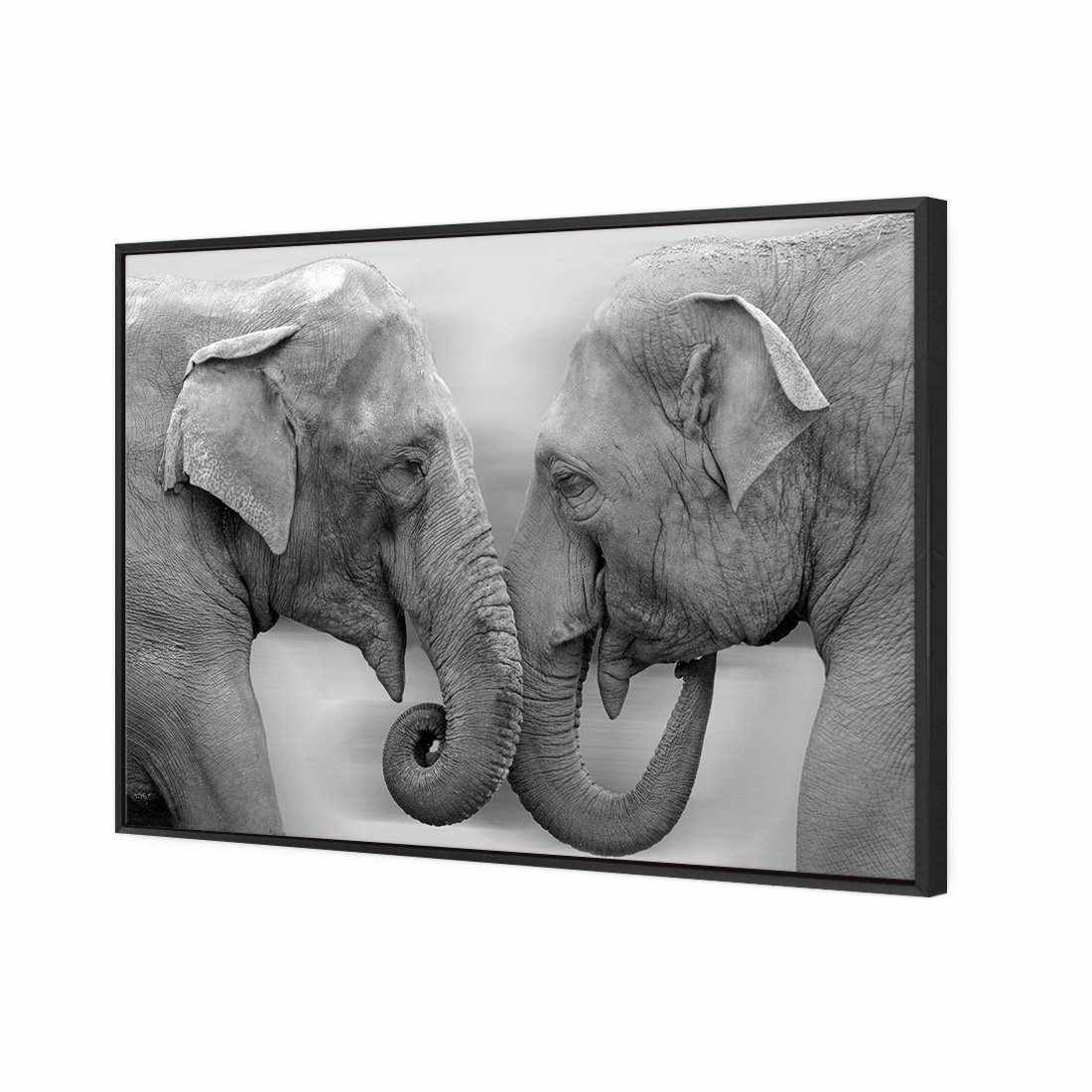 Elephants Kissing, B&W Canvas Art