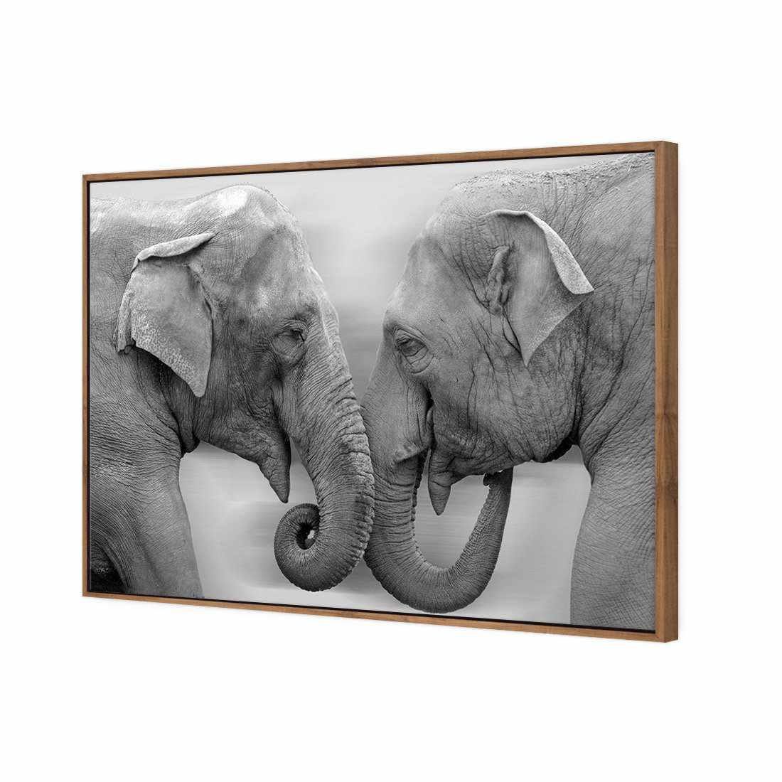 Elephants Kissing, B&W Canvas Art