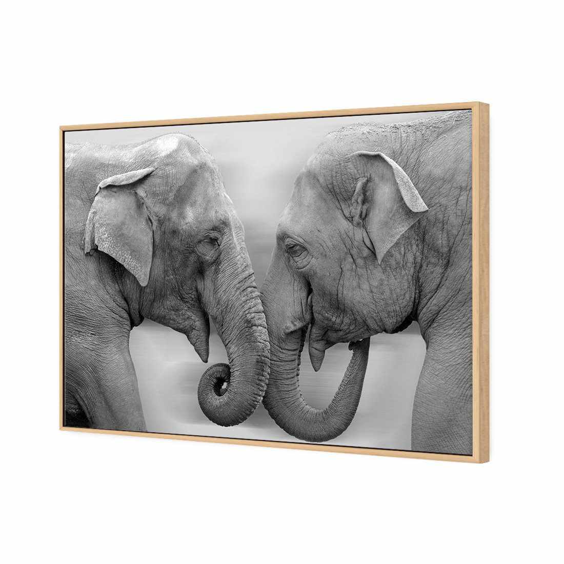 Elephants Kissing, B&W Canvas Art