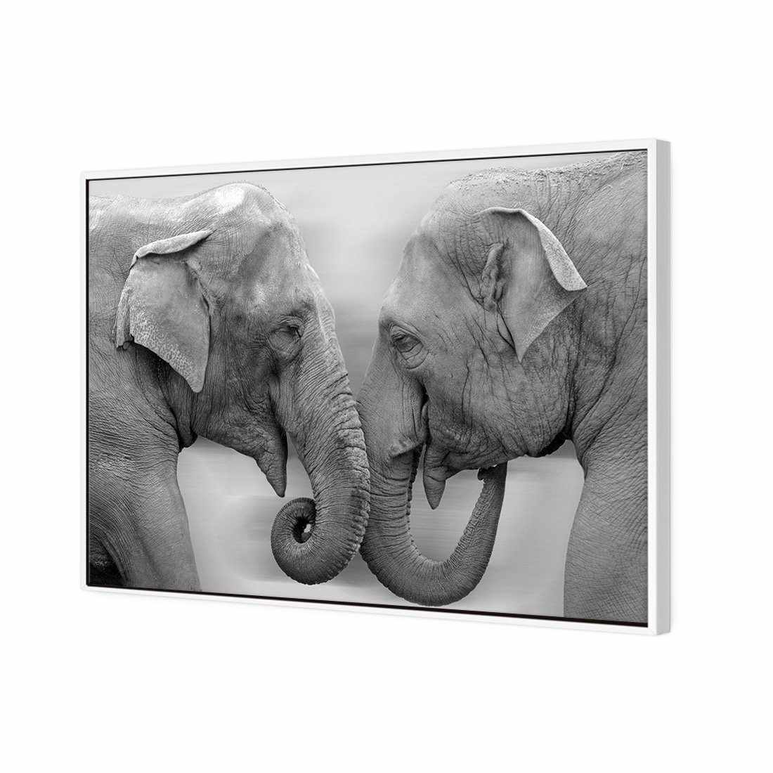 Elephants Kissing, B&W Canvas Art