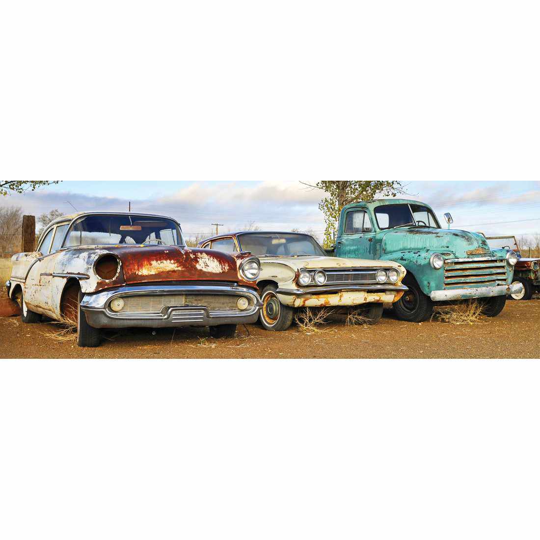 Row Of Rusty Cars Canvas Art