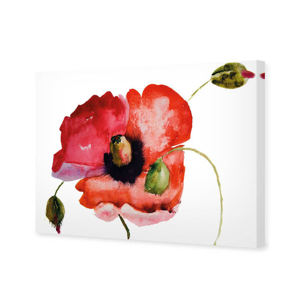 Poppy Buds Canvas Art