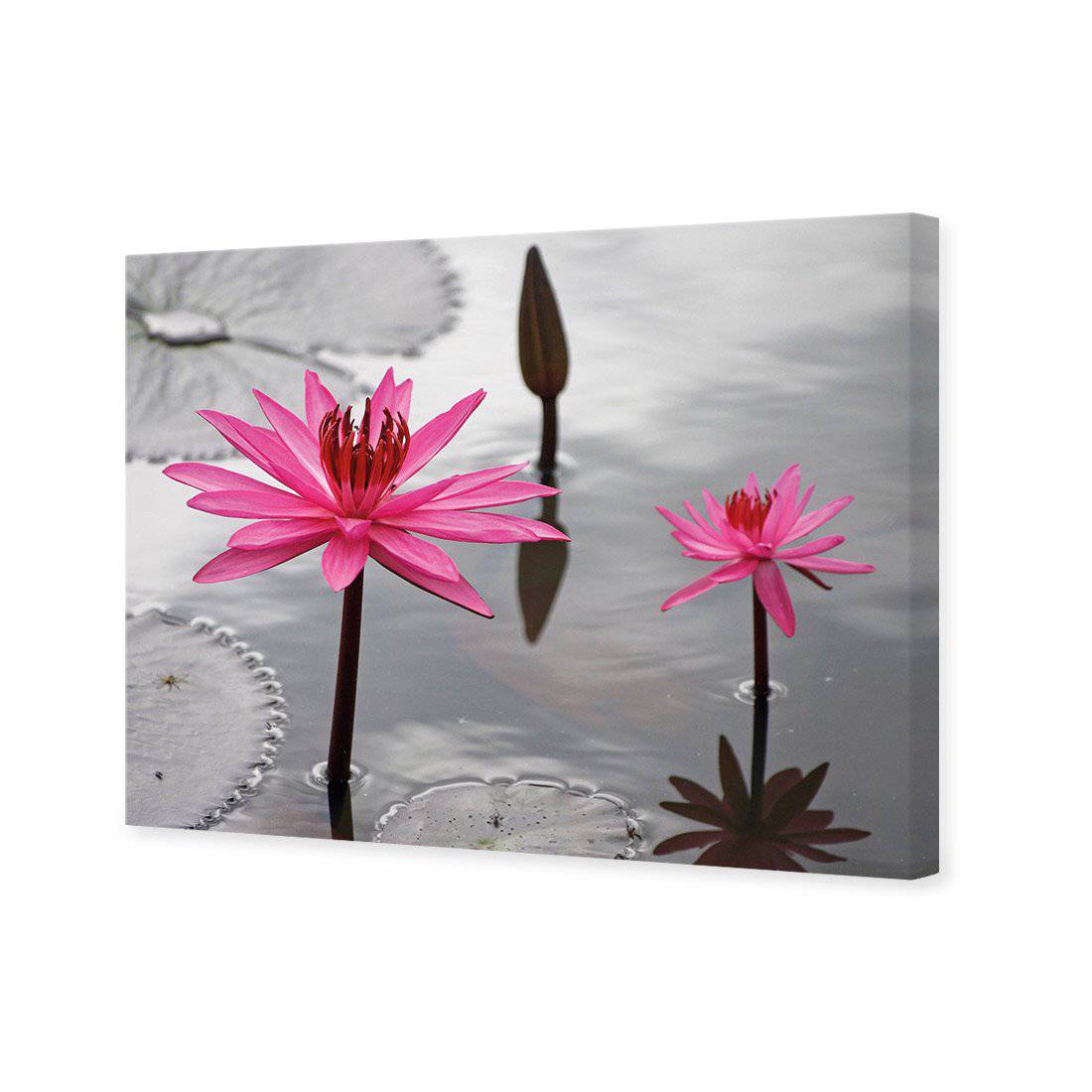 Pop Pink Lilies Canvas Art