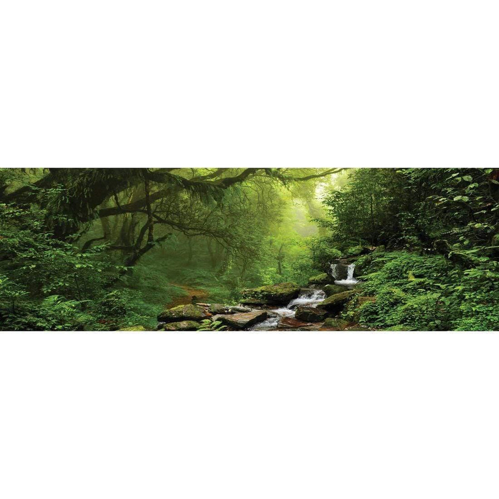 Romantic Rainforest (long)