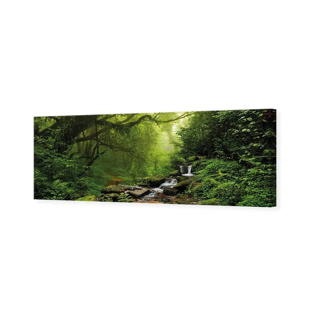 Romantic Rainforest (long)