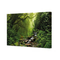 Romantic Rainforest
