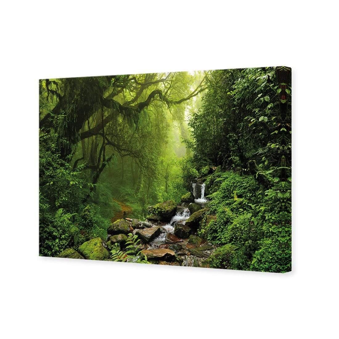 Romantic Rainforest