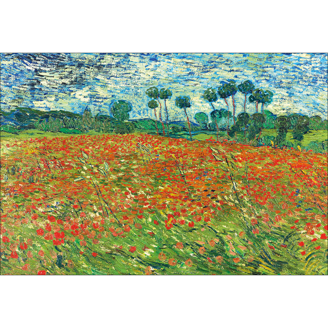 Poppy Field - Van Gogh Acrylic Print Art