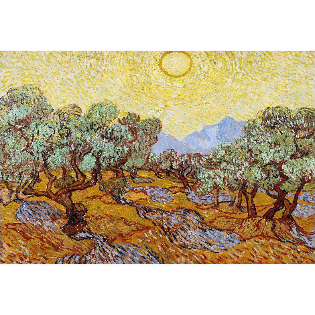 Olive Trees by Van Gogh Canvas Art