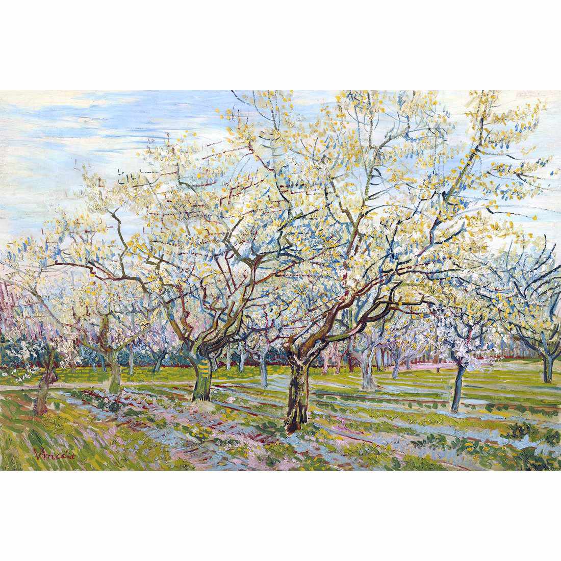 The White Orchard - Van Gogh Acrylic Print Art