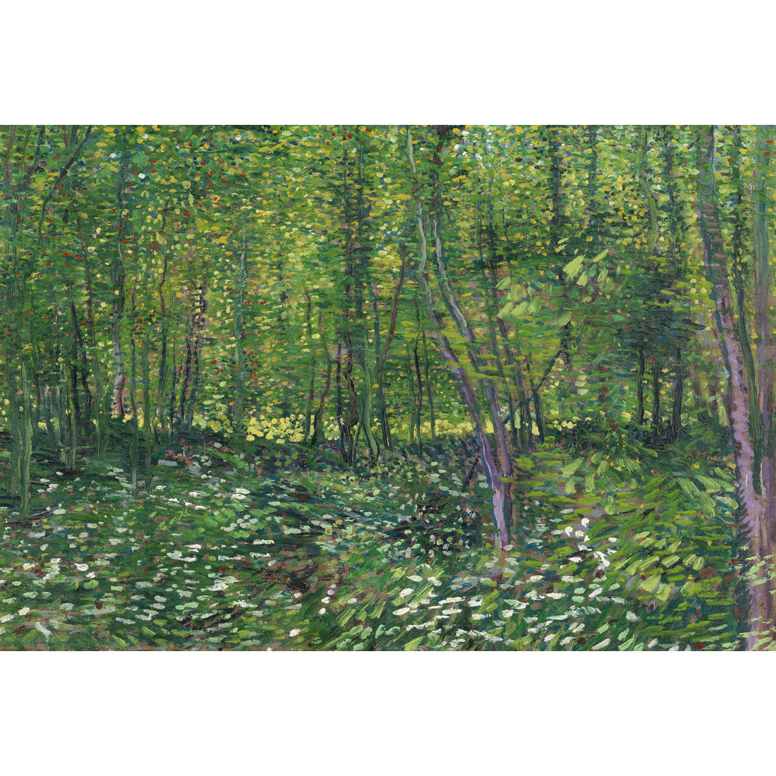 Trees And Undergrowth - Van Gogh Acrylic Print Art