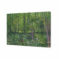 Trees And Undergrowth by Van Gogh Canvas Art