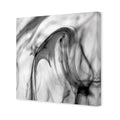 Smoke And Mirrors, B&W Canvas Art