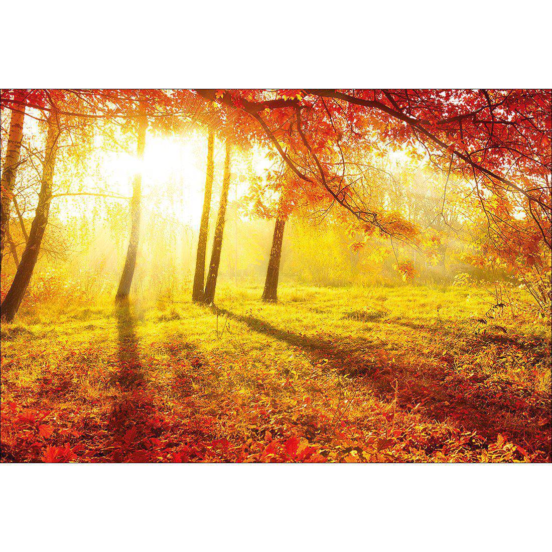 Sun Shadows Canvas Art