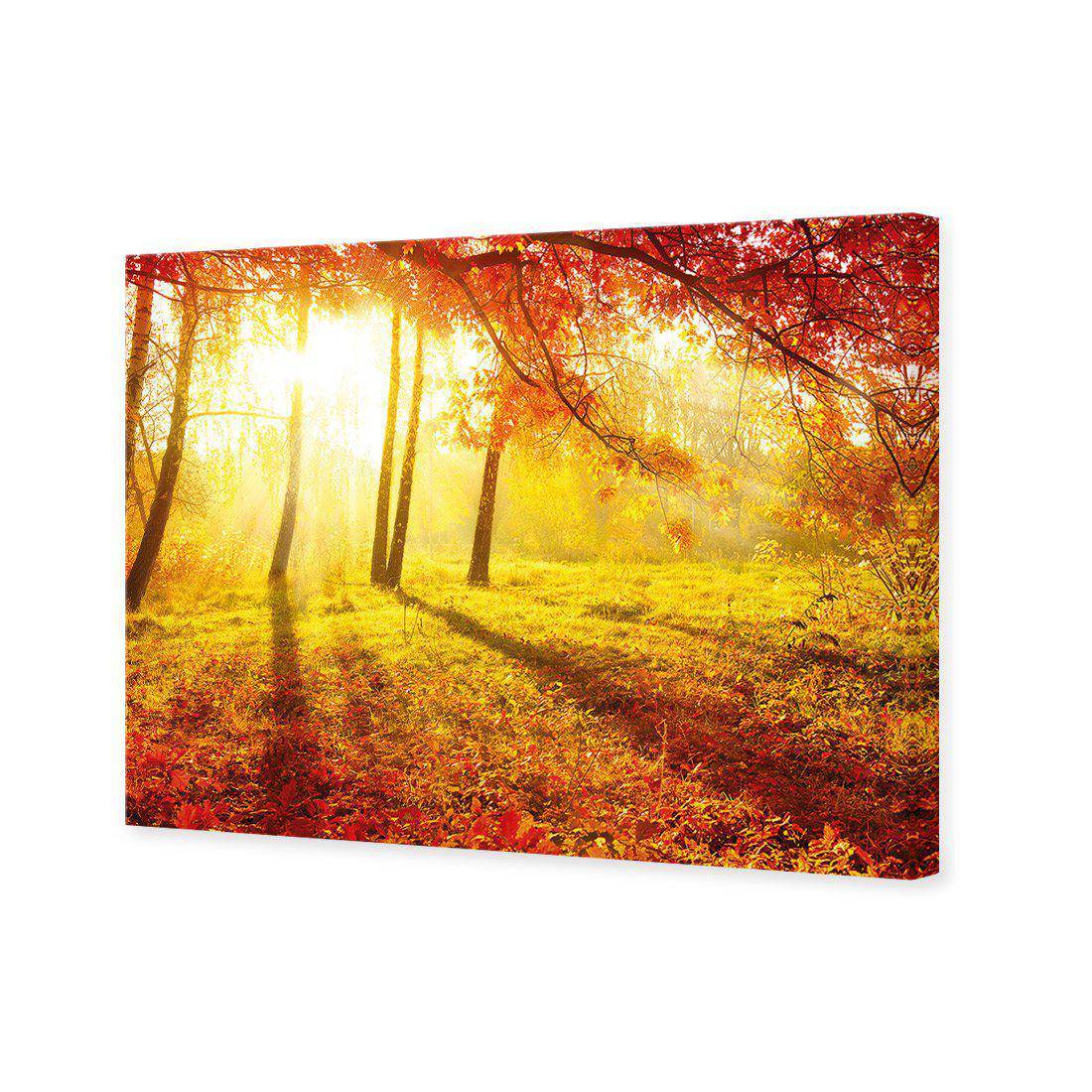 Sun Shadows Canvas Art