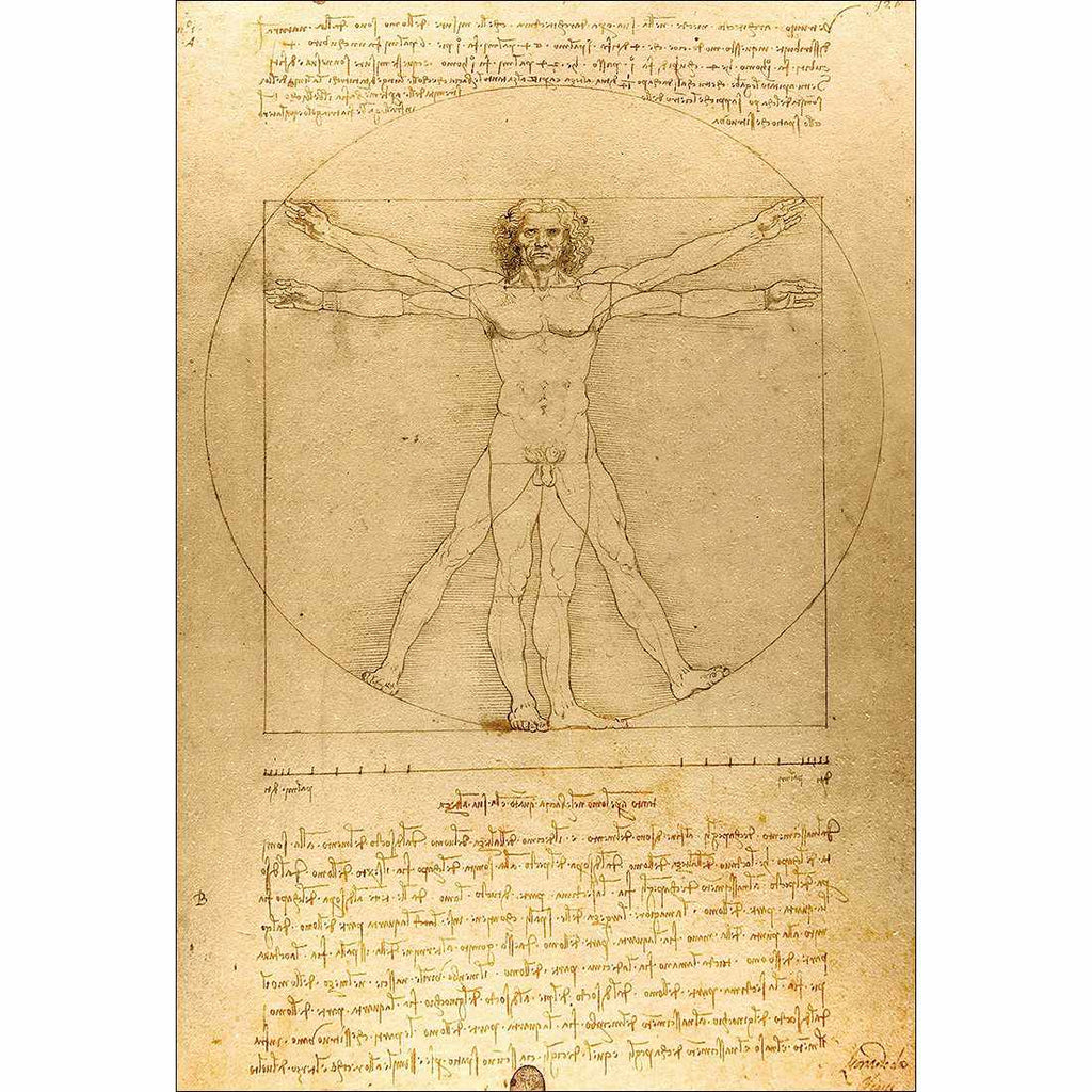 Vitruvian Man by Leonardo Da Vinci Canvas Art