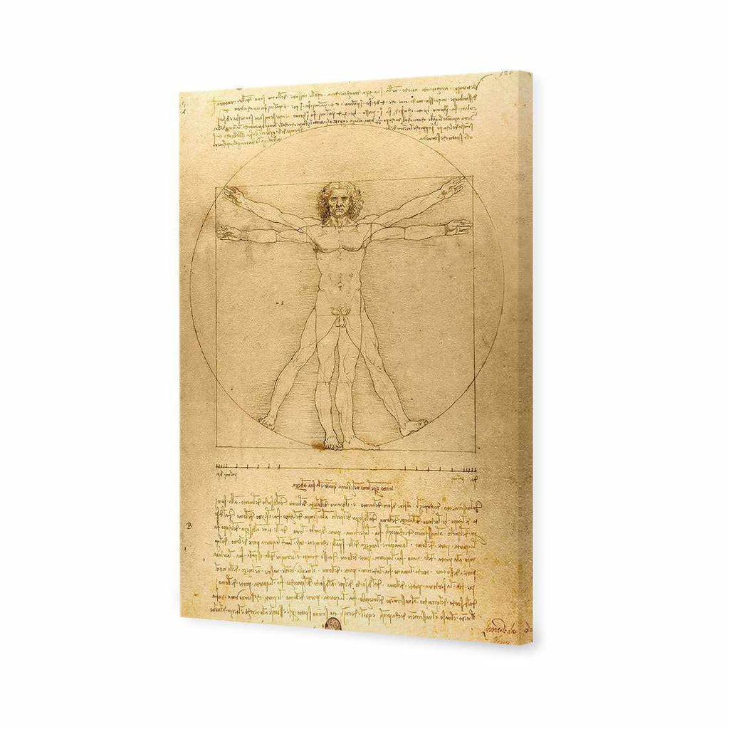 Vitruvian Man by Leonardo Da Vinci Canvas Art