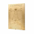 Vitruvian Man by Leonardo Da Vinci Canvas Art