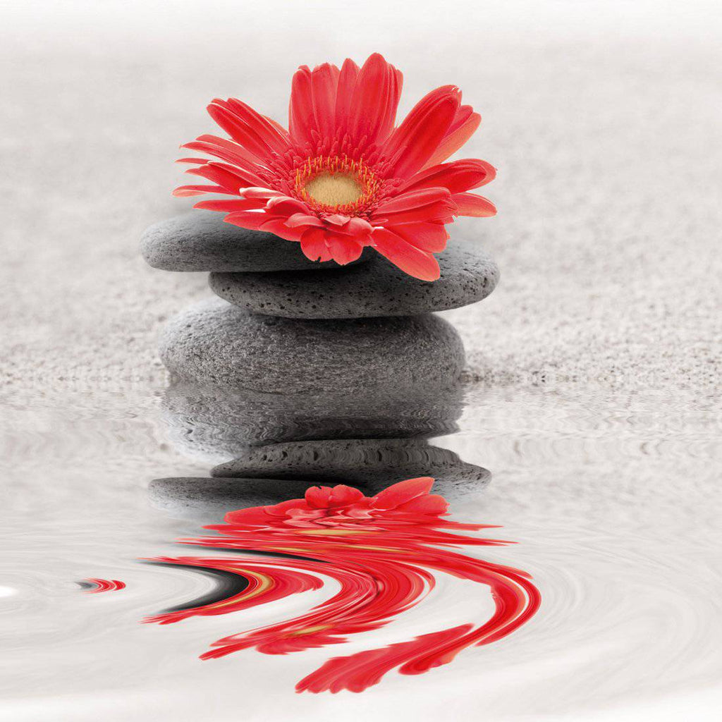 Red Flower Reflection, Square Acrylic Print Art