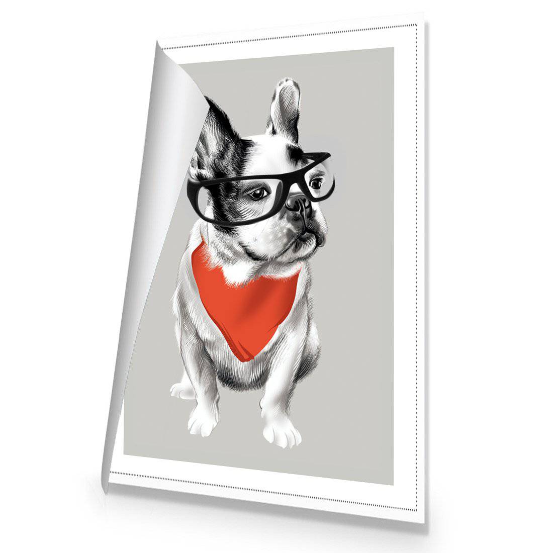 What'S Up Burt Canvas Art