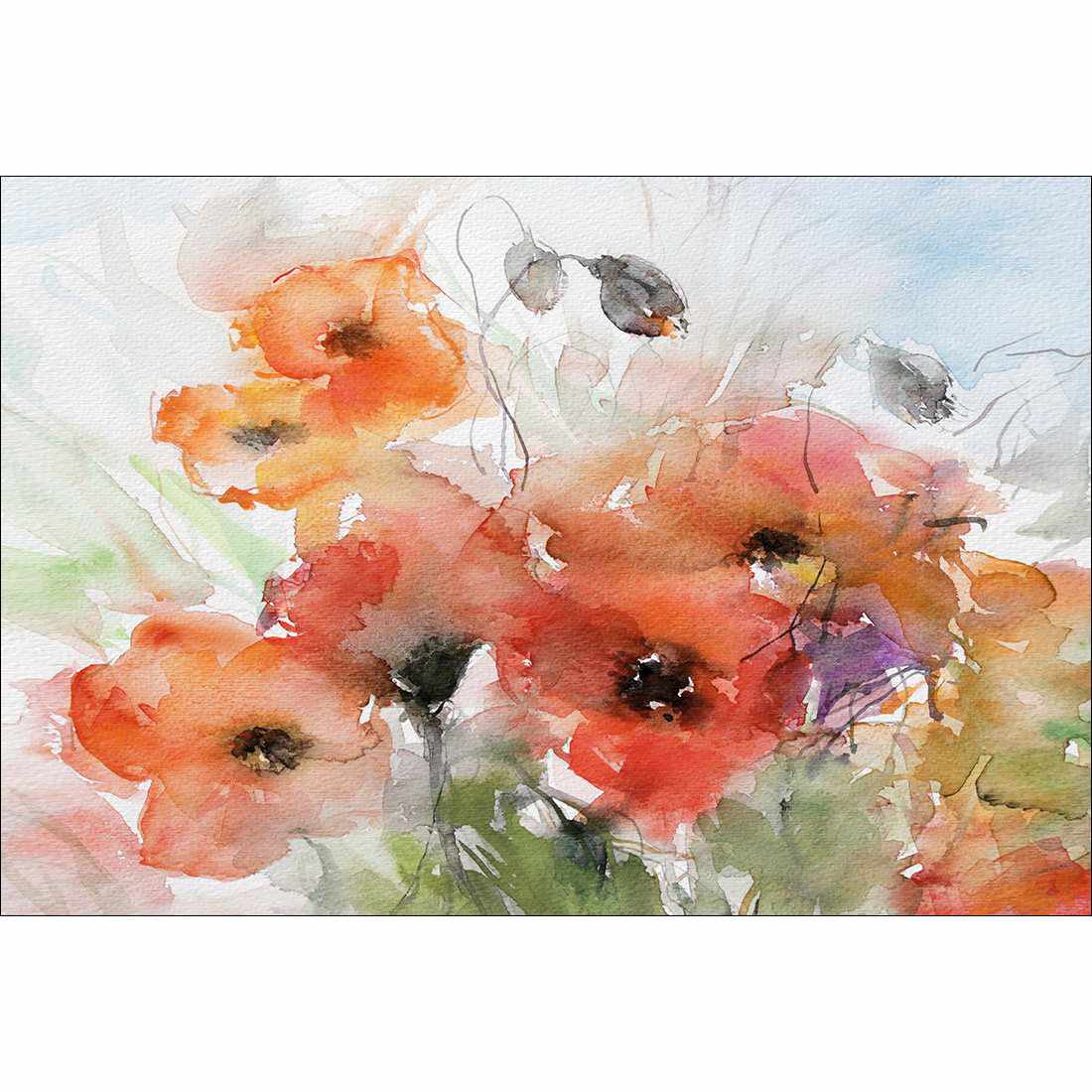 Watercolour Poppies Acrylic Print Art
