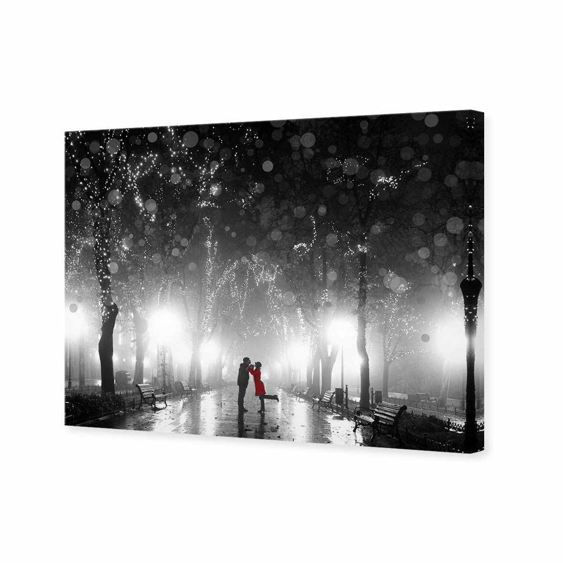 Park Of Romance, B&W Canvas Art