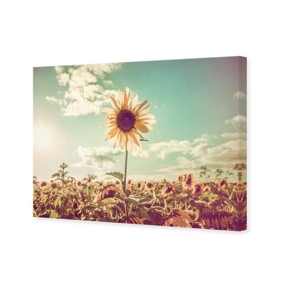 Sunflower Reborn Canvas Art