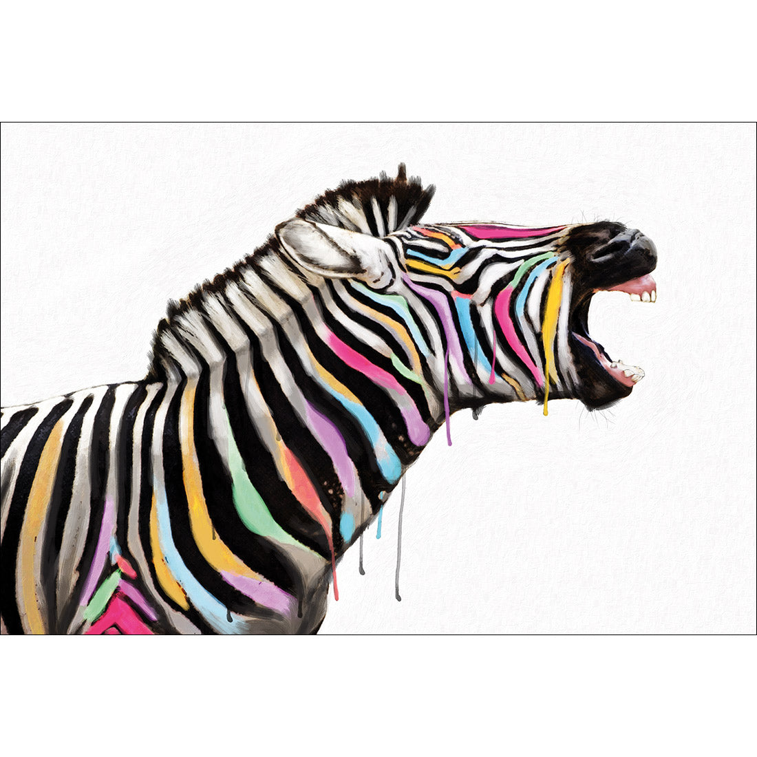 Laughing Stock Acrylic Print Art