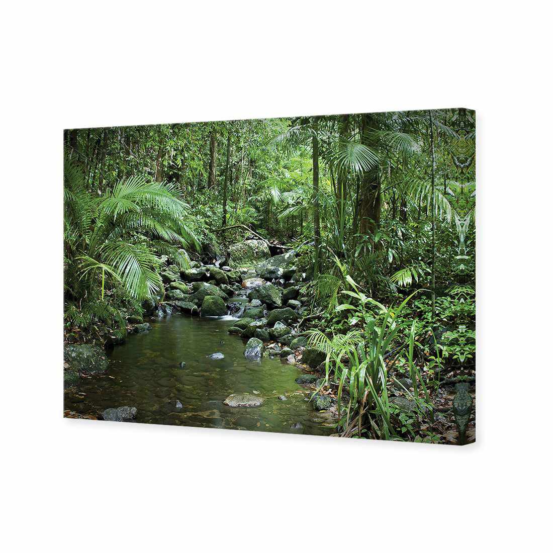 Mossman River In Daintree Rainforest, Rectangle Canvas Art