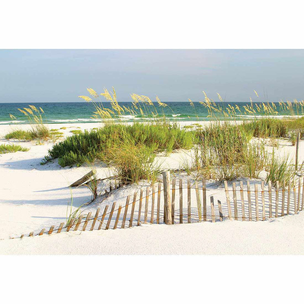 Sand Dune Reflections Canvas Art