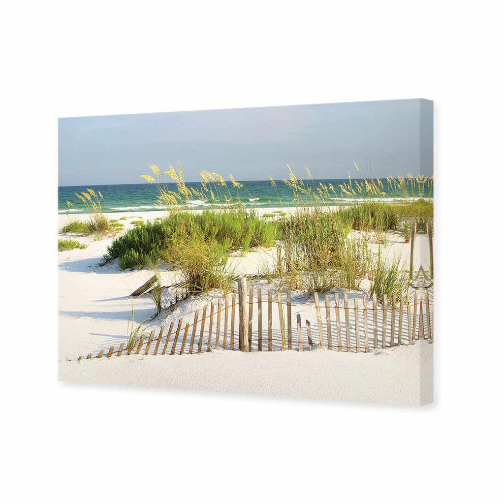 Sand Dune Reflections Canvas Art