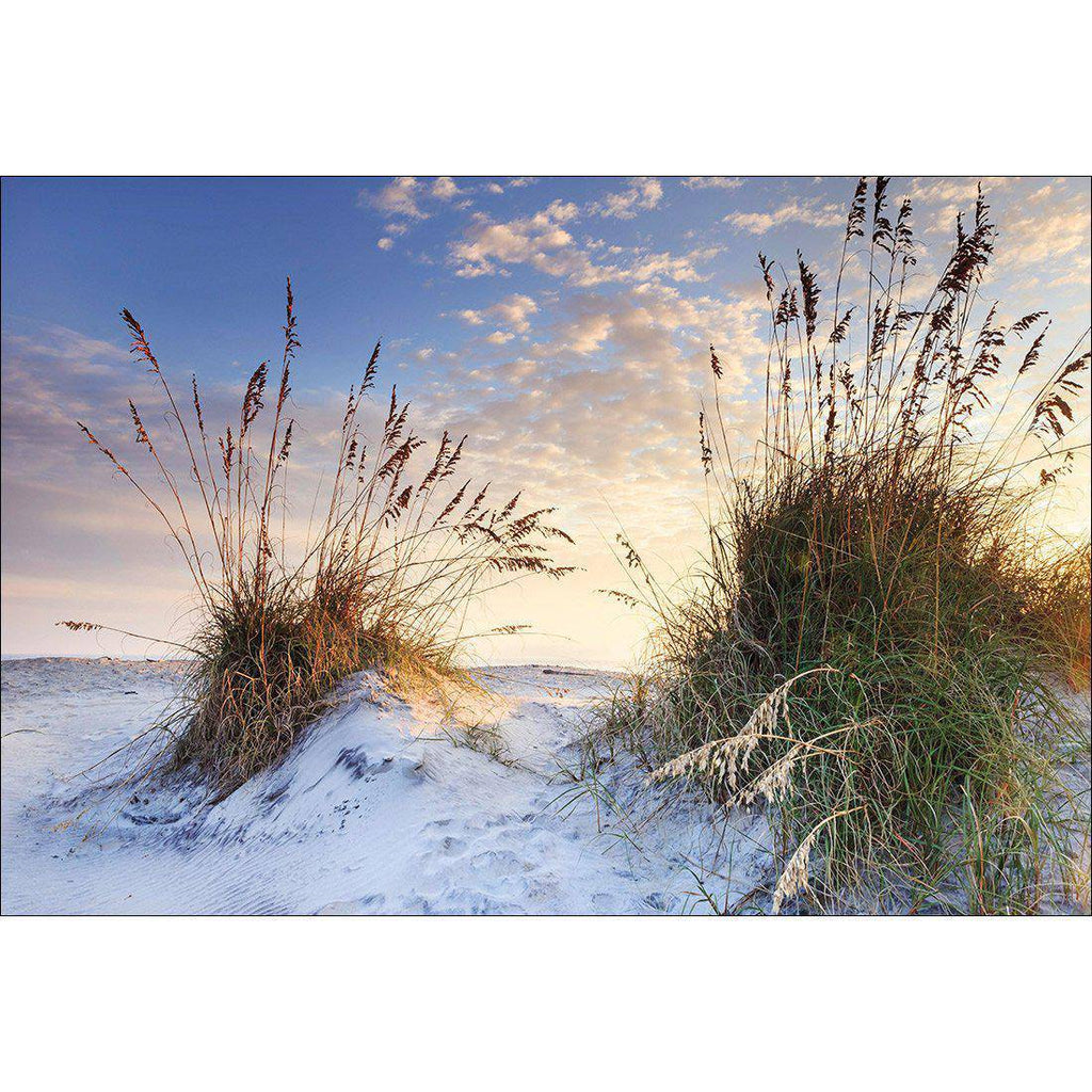 White Sand Dunes Canvas Art