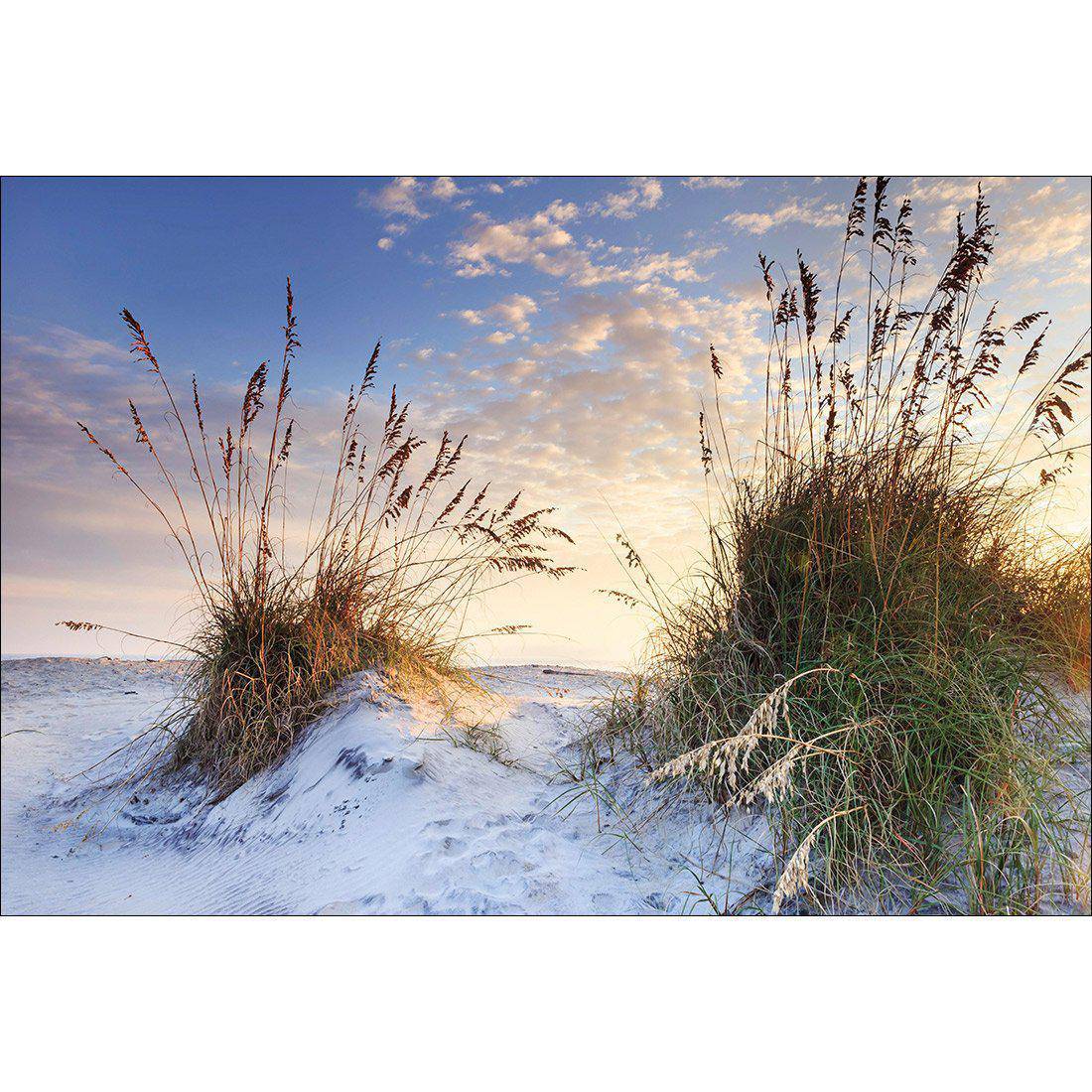 White Sand Dunes Canvas Art