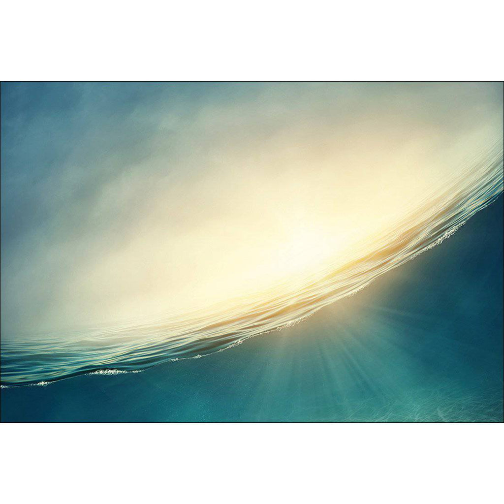 Submersed Canvas Art