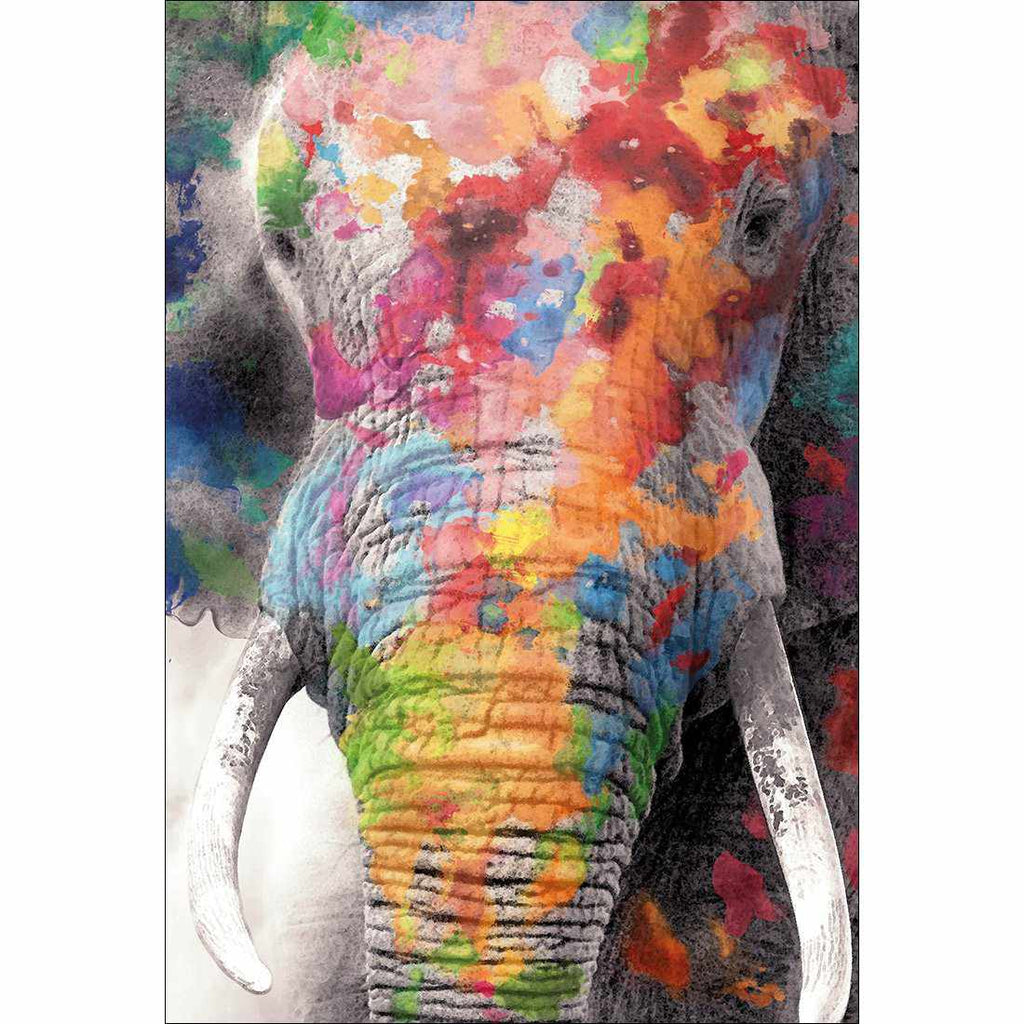 Rainbow Elephant Canvas Art