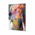 Rainbow Elephant Canvas Art