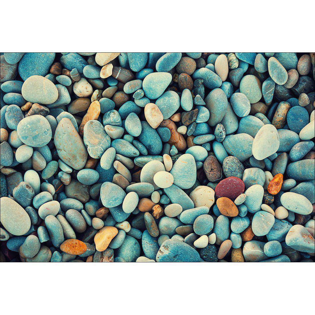 Peddling Pebbles Canvas Art