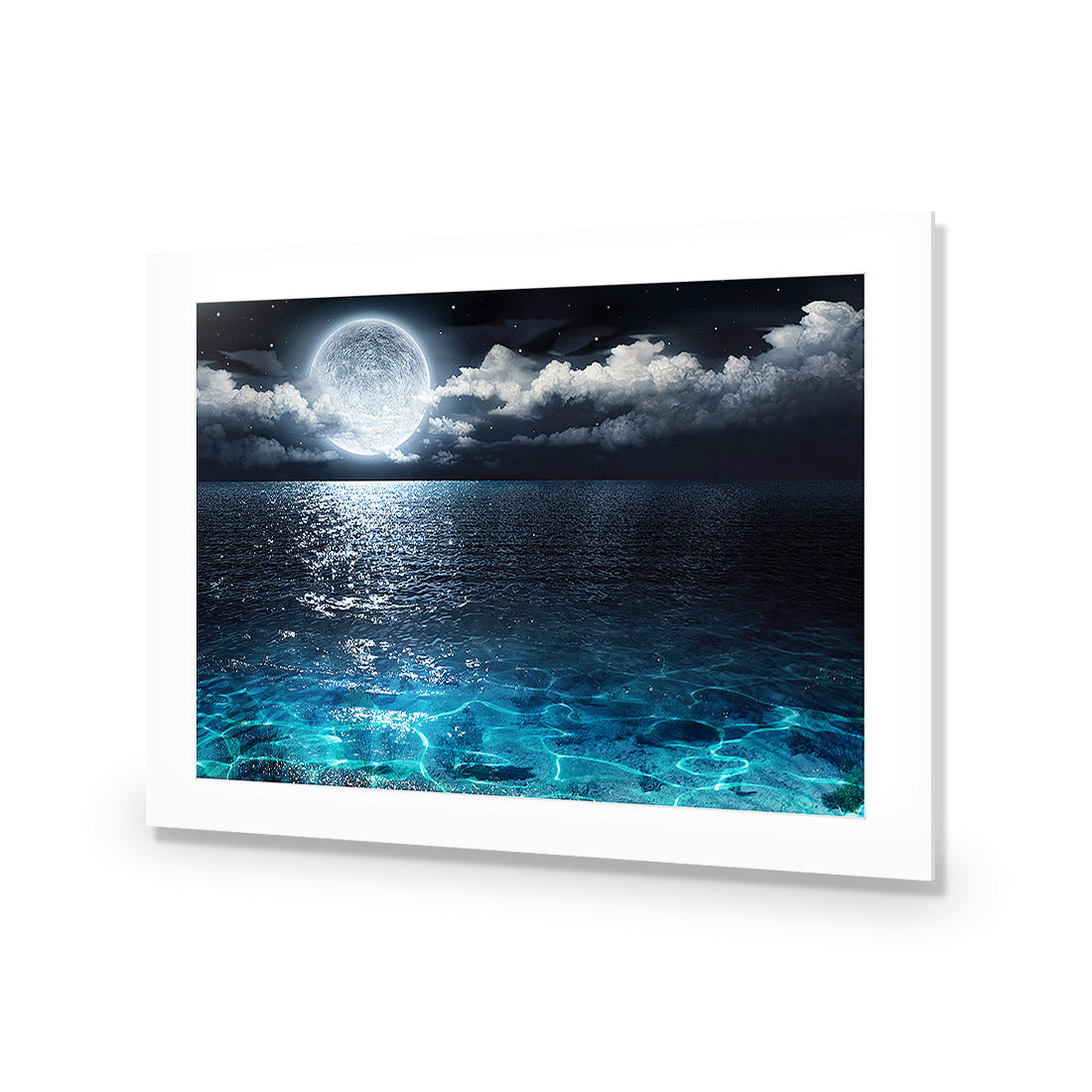 Moonlight Flit Acrylic Print Art
