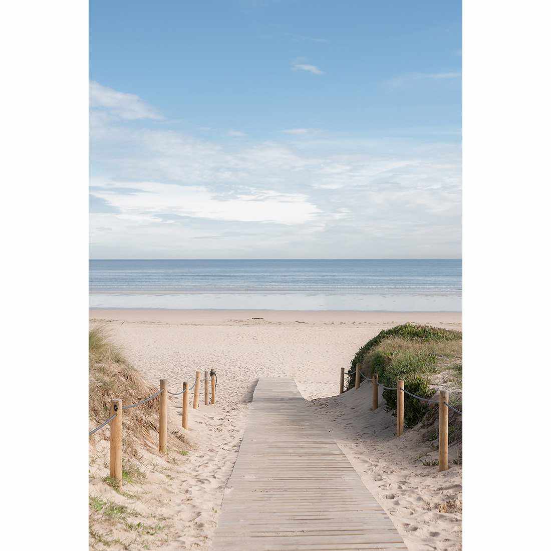 Pathway To The Sea Acrylic Print Art