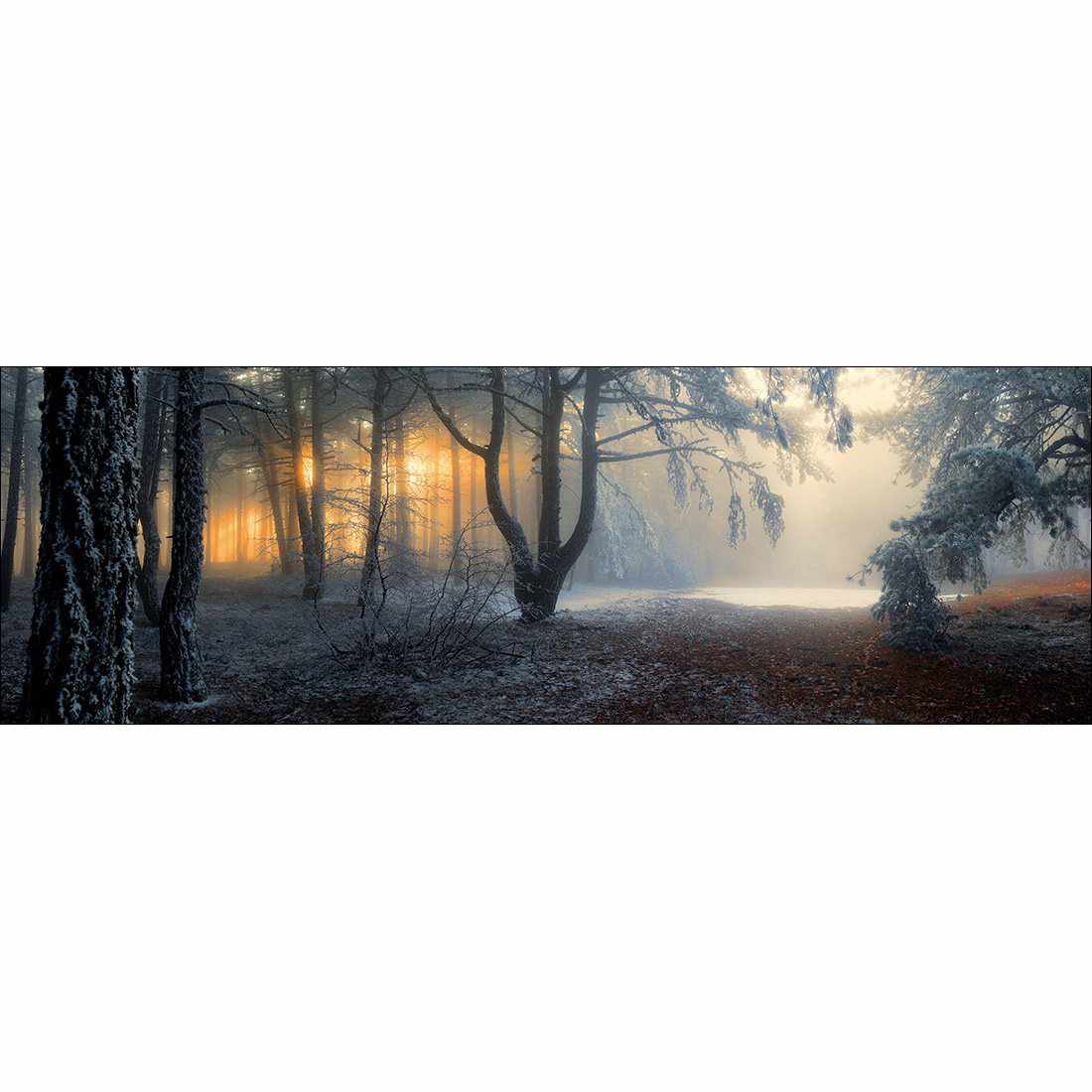 Winter Forest Pond, Long Canvas Art