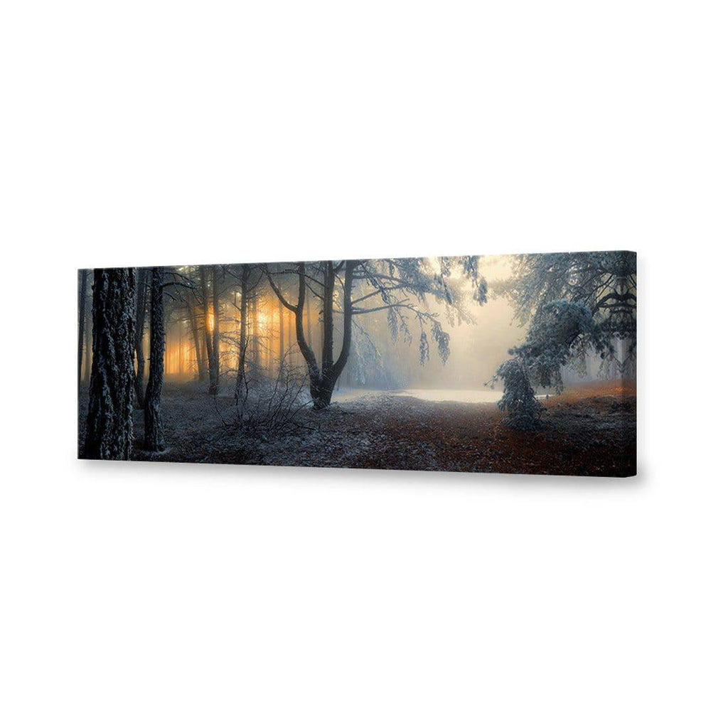 Winter Forest Pond, Long Canvas Art