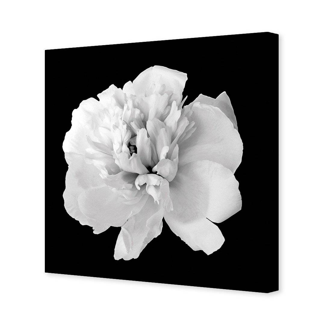Salubrious Peony Canvas Art
