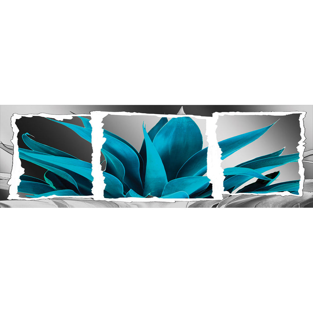 Plant In Window, Turquoise, Long Acrylic Print Art