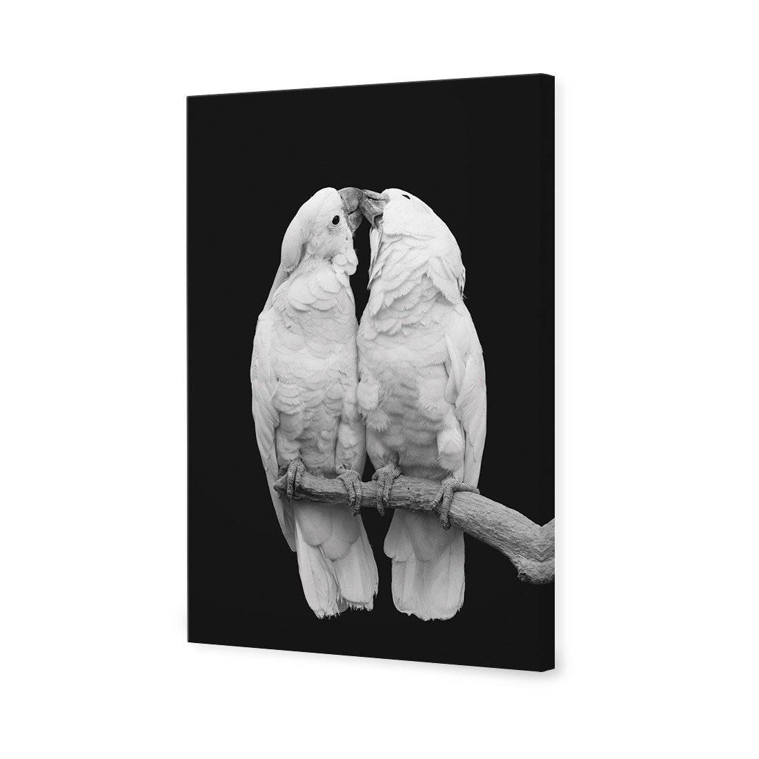 Parrots Kissing, B&W Canvas Art
