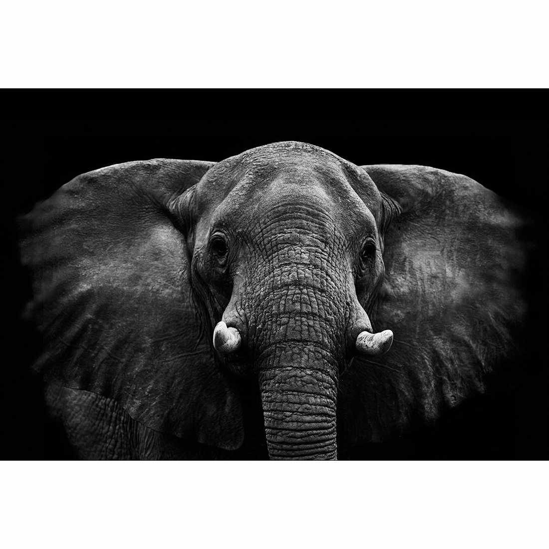 Regal Elephant Canvas Art